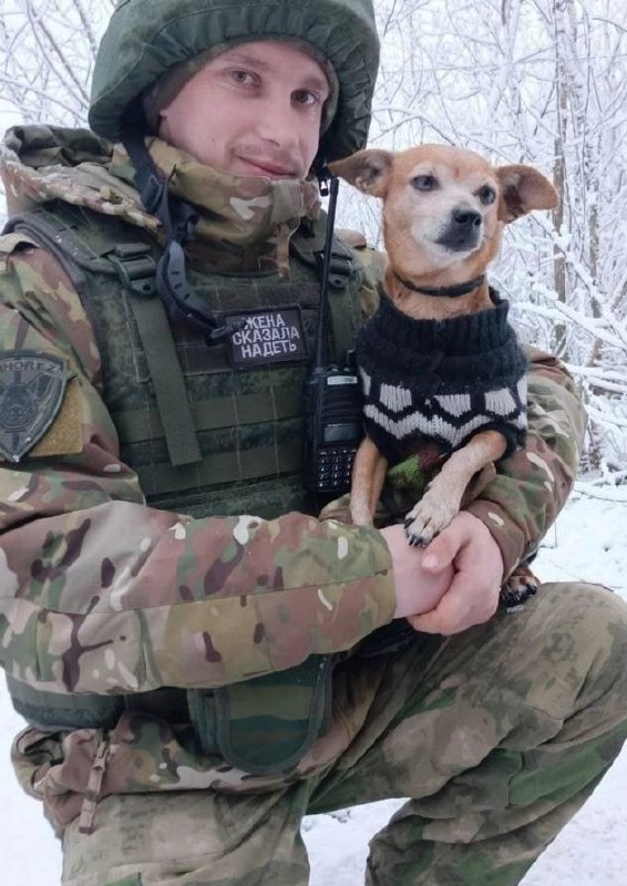 Фотография Гришечкин Максим Денисович, погибший солдат СВО